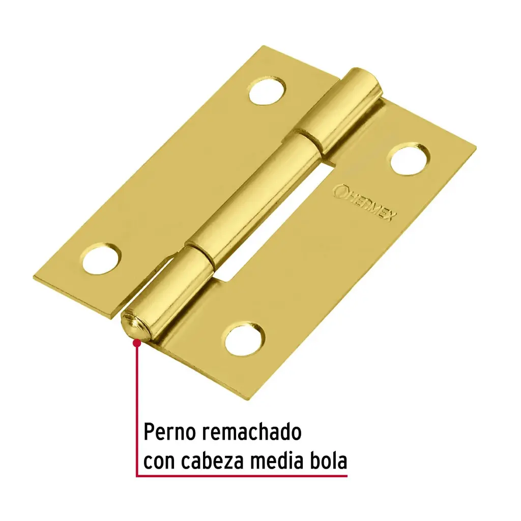 BISAGRA2.webp