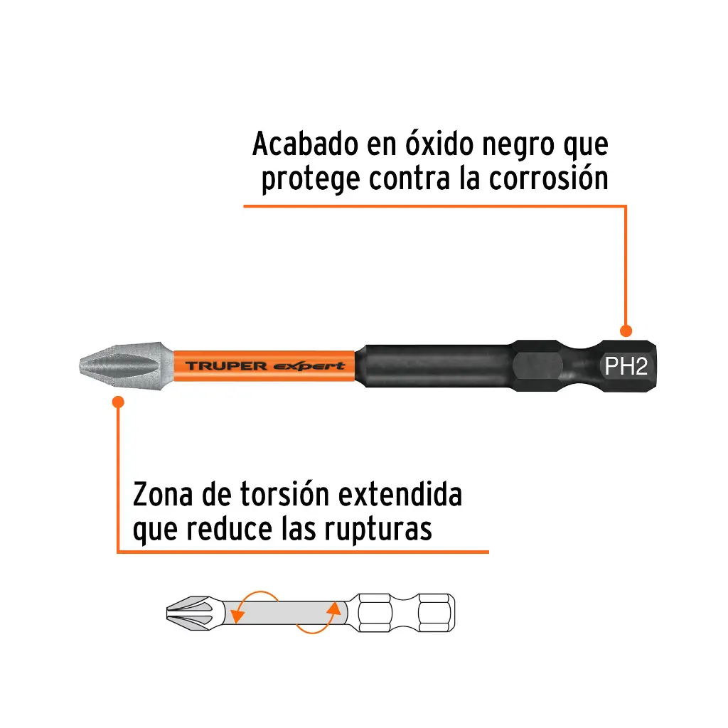 PUNTA1.webp