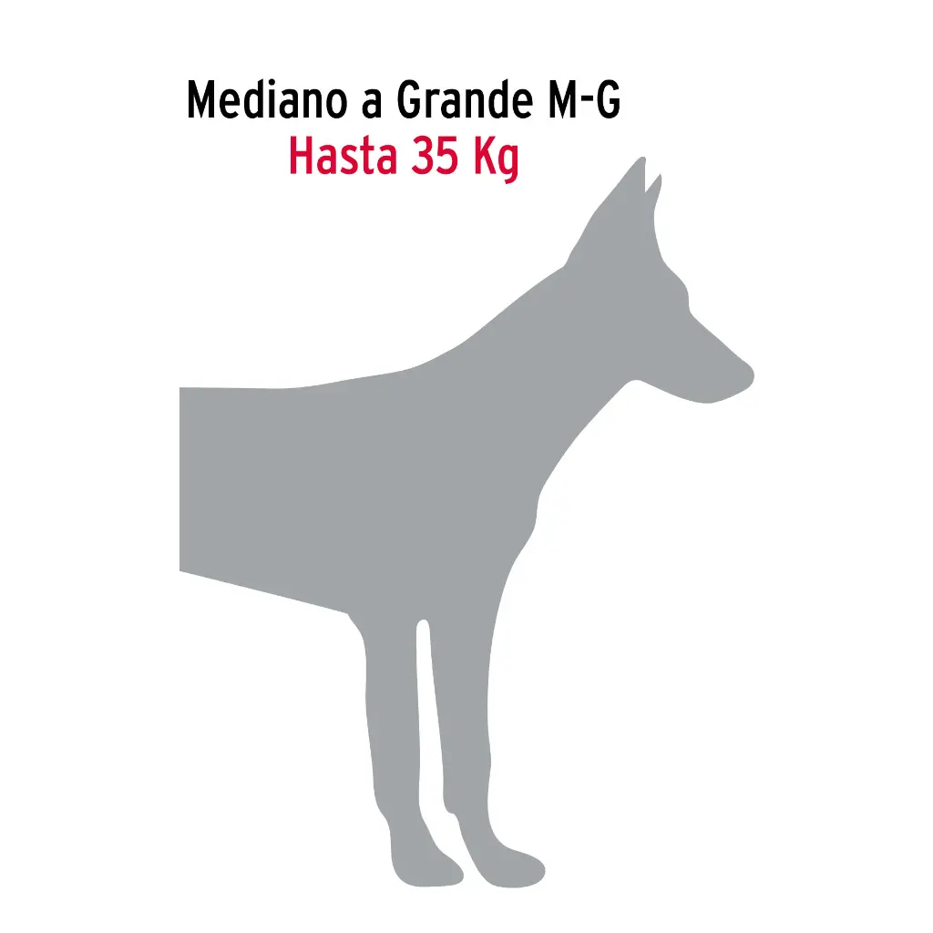 CADENA4.webp